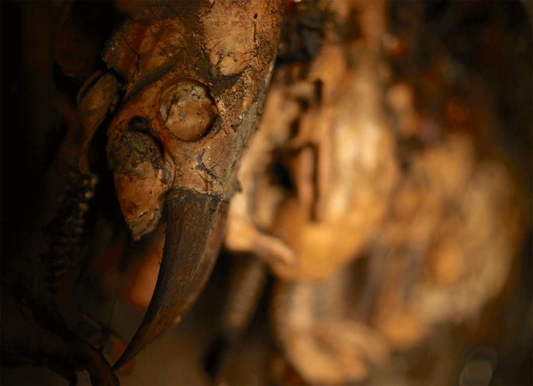Skulls of the animals hanging on the walls of Hamang Kuipu&#39;s home.  According to tradition these are talismans to encourage bountiful hunting in the  future