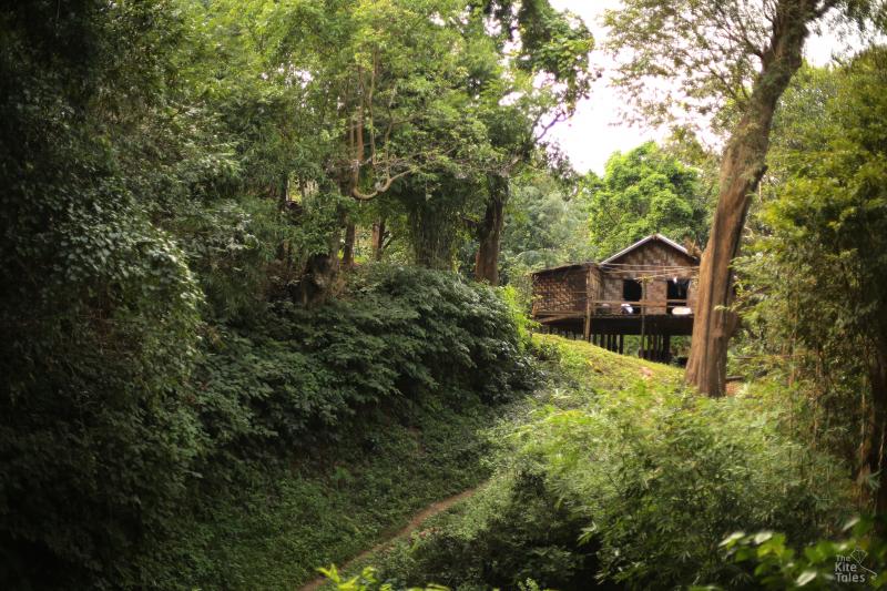Dozens of households in Goke Gyi village grow coffee to subsidise their incomes