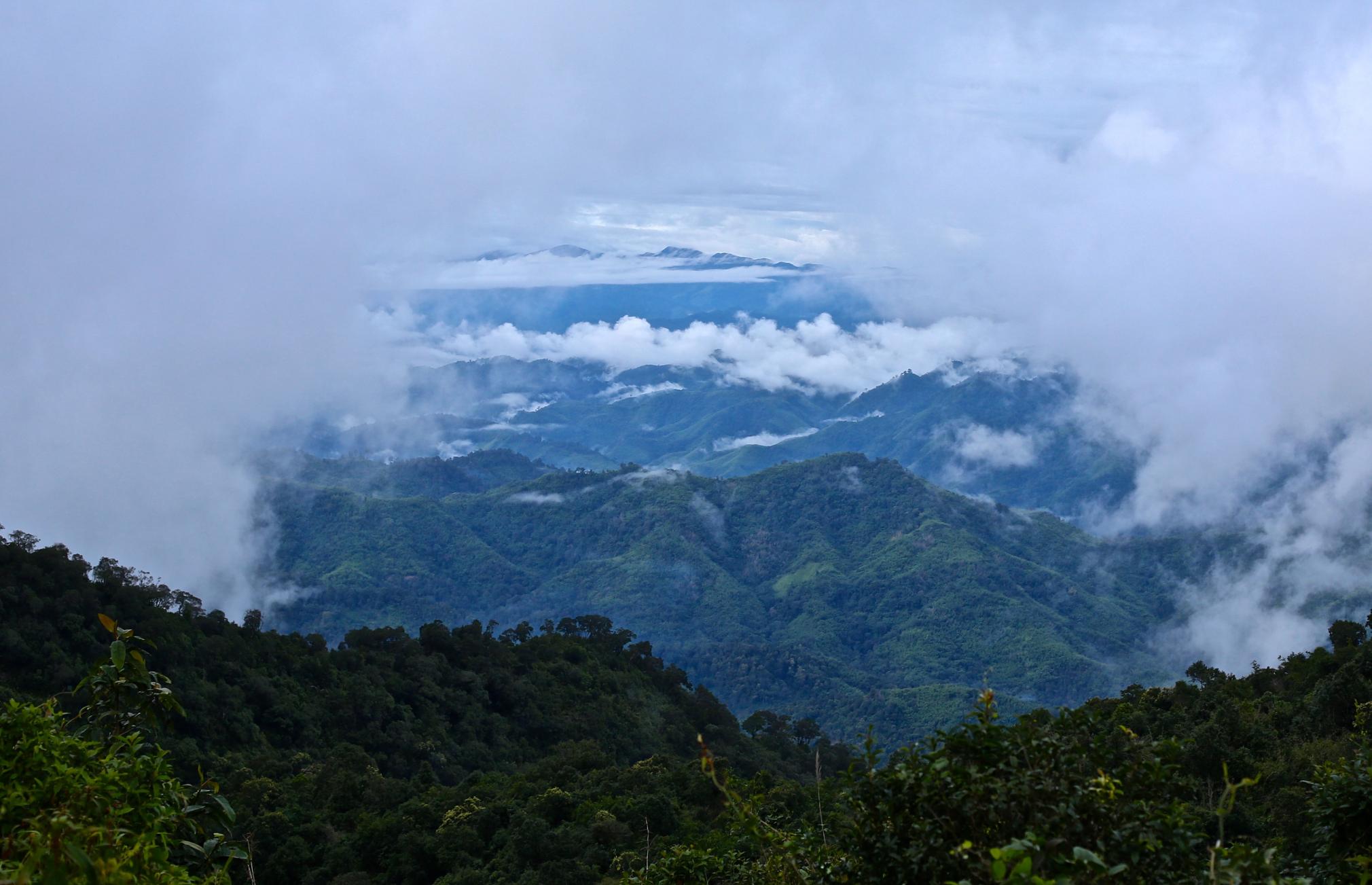 The lush Karen landscape 